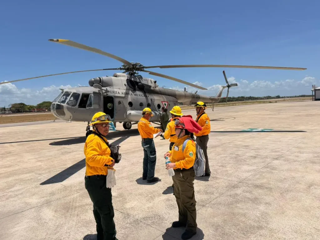 Brigadas de emergencia frenan fuego en el Santuario del Manatí