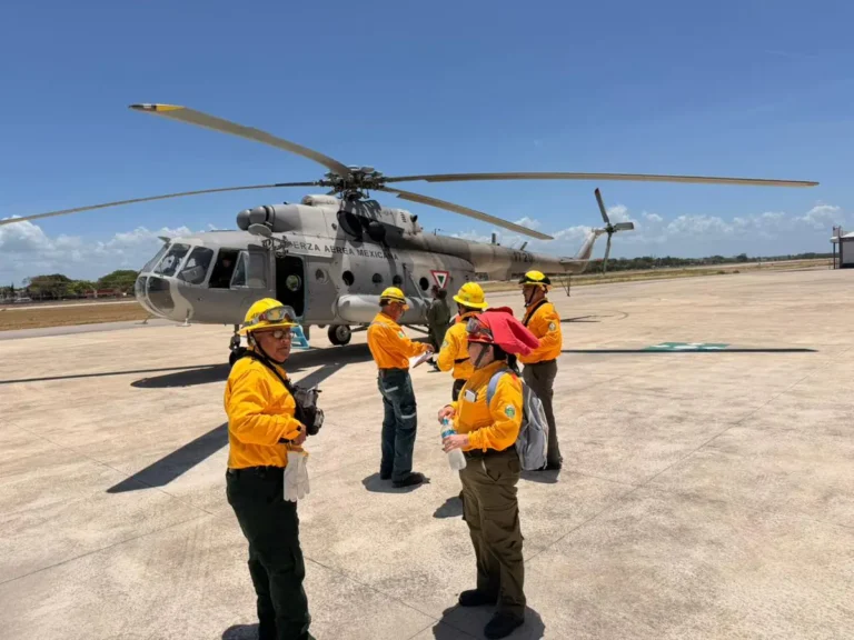 Brigadas de emergencia frenan fuego en el Santuario del Manatí