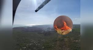 Fuego devasta la Bahía de Chetumal y amenaza al manatí caribeño