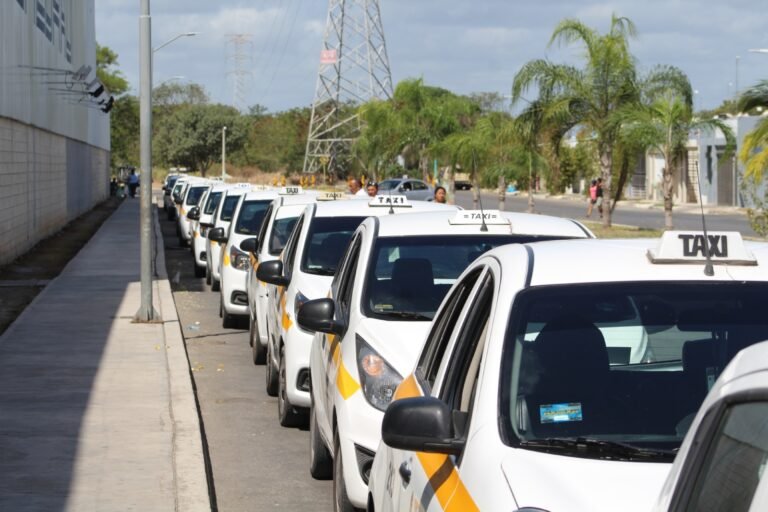Renovación del transporte en Chetumal enfrenta rezago por costos