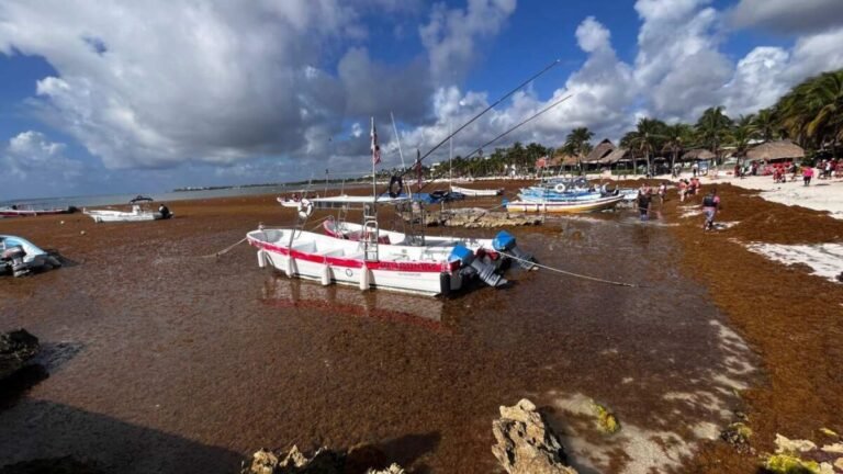 Cancún retira 16 mil toneladas de sargazo y duplica niveles de 2025