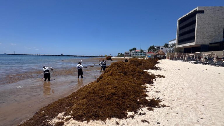 Mitigar el declive turístico en Quintana Roo ante la emergencia ambiental