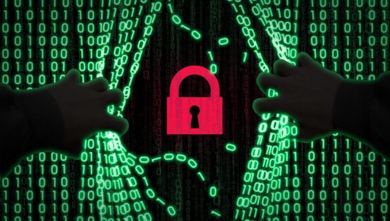Negligencia digital y criminalidad en Quintana Roo fracturan la seguridad ciudadana